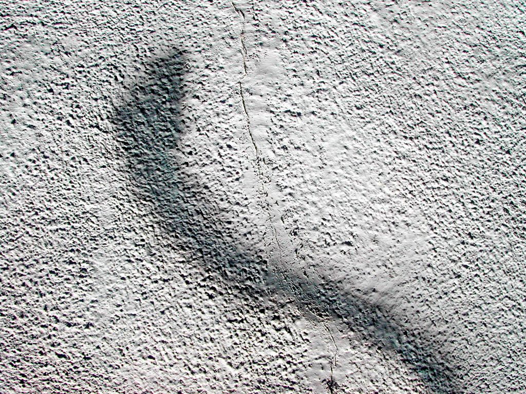 War on Graffiti, 2002