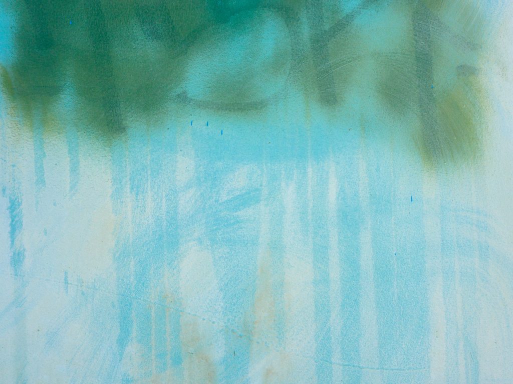 War on Graffiti, 2012